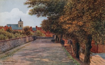Les murs est, Chichester - Alfred Robert Quinton
