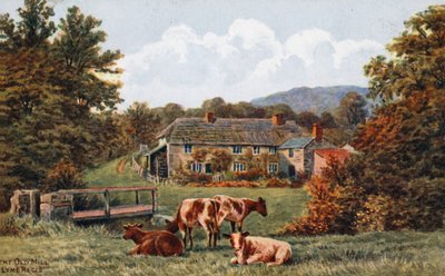 Le vieux moulin, Lyme Regis - Alfred Robert Quinton