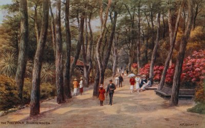 La promenade des Pins, Bournemouth - Alfred Robert Quinton