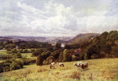 La vallée de la Tamise depuis Hennerton, Henley - Alfred Robert Quinton