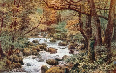Torrent Walk, Dolgelley - Alfred Robert Quinton