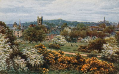 Tunbridge Wells depuis The Common - Alfred Robert Quinton