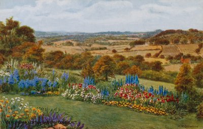 Vue d