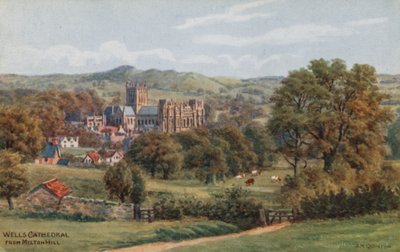 Cathédrale de Wells, depuis Milton Hill - Alfred Robert Quinton