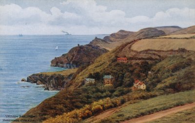 Woody Bay, depuis Martinhoe Common - Alfred Robert Quinton