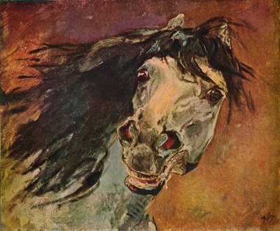 Tête de cheval andalou, vers 1910 - Alfred Roll