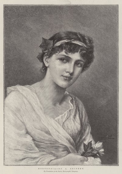Hortensia - Alfred Seifert