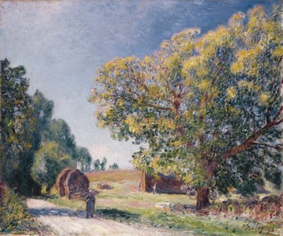 Une clairière dans une forêt, 1895 - Alfred Sisley
