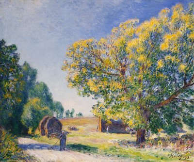 Autour de la forêt, une clairière - Alfred Sisley