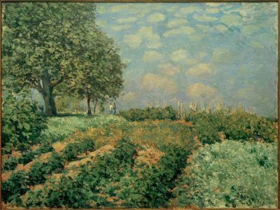 Les Champs - Alfred Sisley