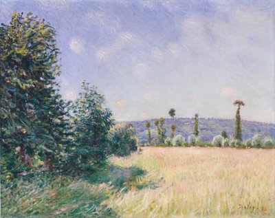 Les prés de Sahurs au soleil du matin, 1894 - Alfred Sisley