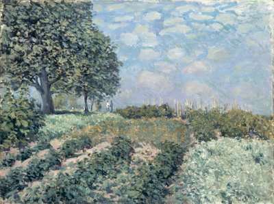 Les Jardins du Marché - Alfred Sisley