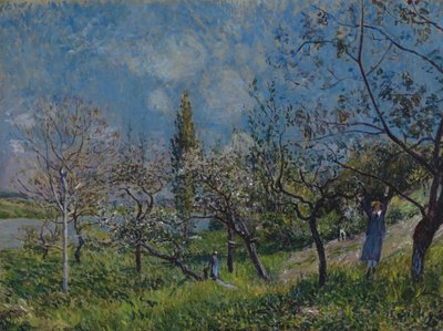 Verger au printemps - Alfred Sisley
