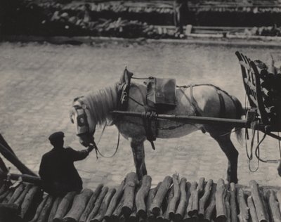  - Alfred Stieglitz