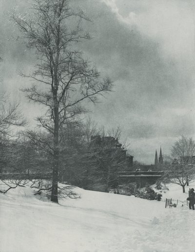  - Alfred Stieglitz