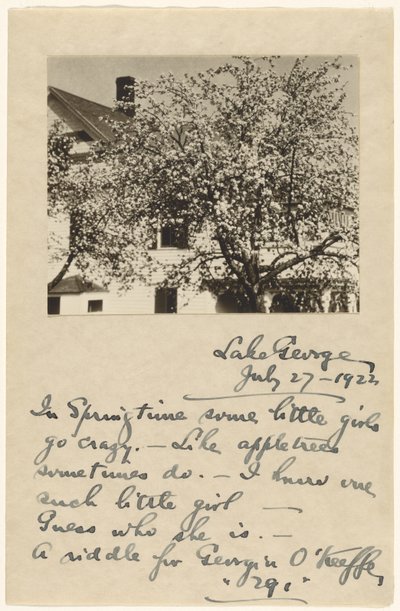 [Fleurs de pommier] - Alfred Stieglitz