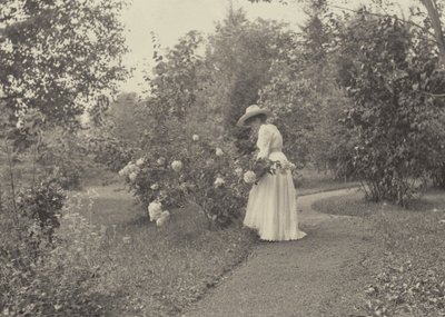  - Alfred Stieglitz
