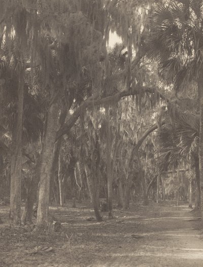  - Alfred Stieglitz