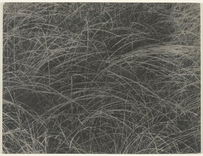 Équivalent, 1927 - Alfred Stieglitz