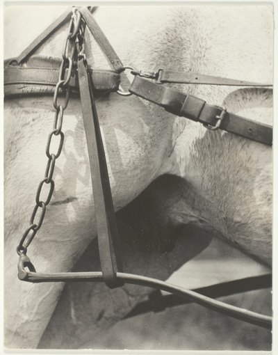 Équivalent, Amérique spirituelle - Alfred Stieglitz