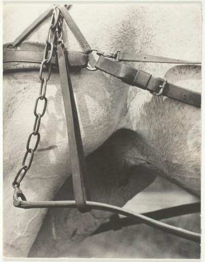 Équivalent, Amérique spirituelle - Alfred Stieglitz