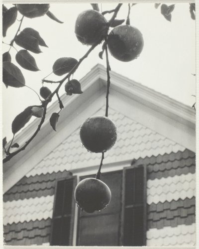 Pignon et pommes - Alfred Stieglitz