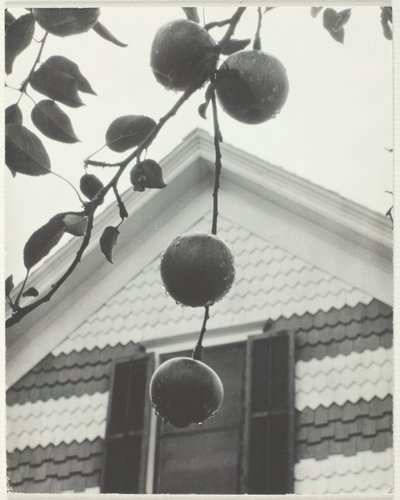 Pignon et pommes - Alfred Stieglitz