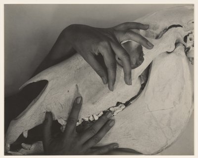 - Alfred Stieglitz