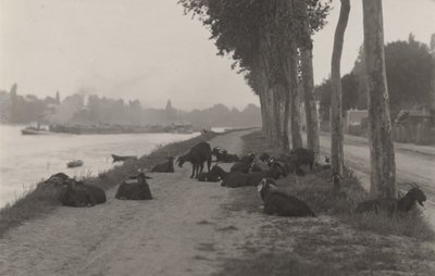  - Alfred Stieglitz