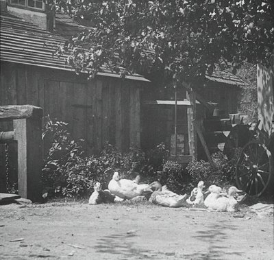 Gutach, 1894 - Alfred Stieglitz