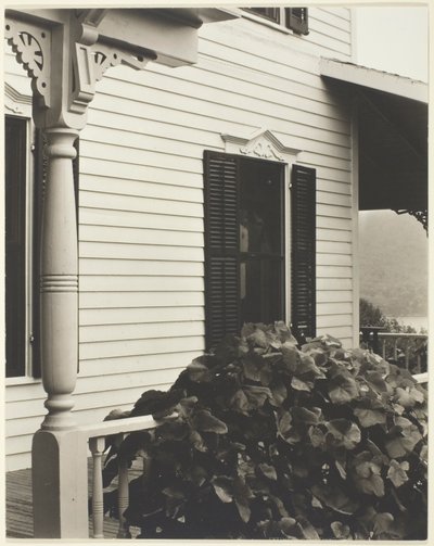 Maison et feuilles de vigne - Alfred Stieglitz