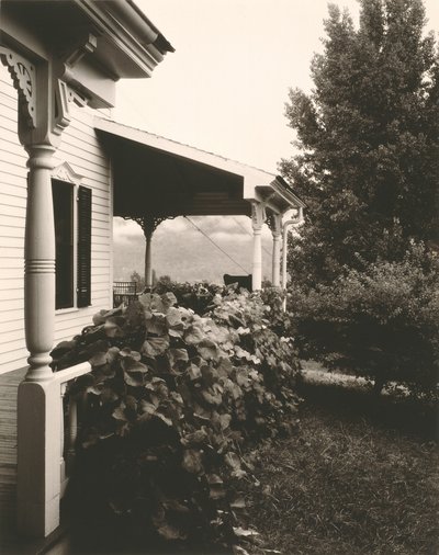 Maison et feuilles de vigne - Alfred Stieglitz