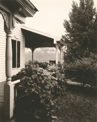 Maison et Feuilles de Vigne - Alfred Stieglitz
