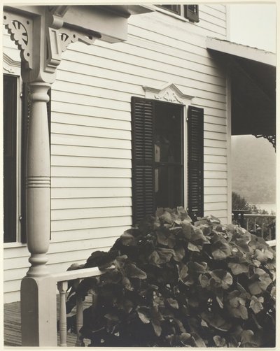Maison et feuilles de vigne - Alfred Stieglitz