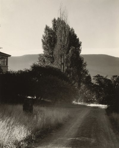  - Alfred Stieglitz