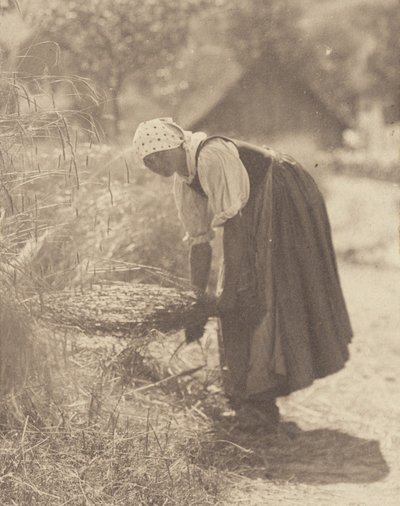  - Alfred Stieglitz