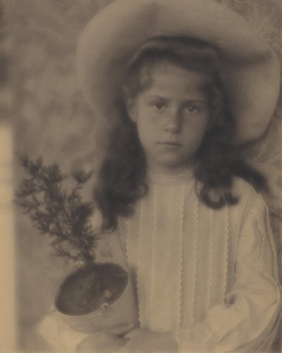  - Alfred Stieglitz