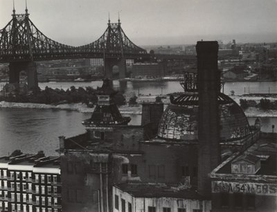  - Alfred Stieglitz