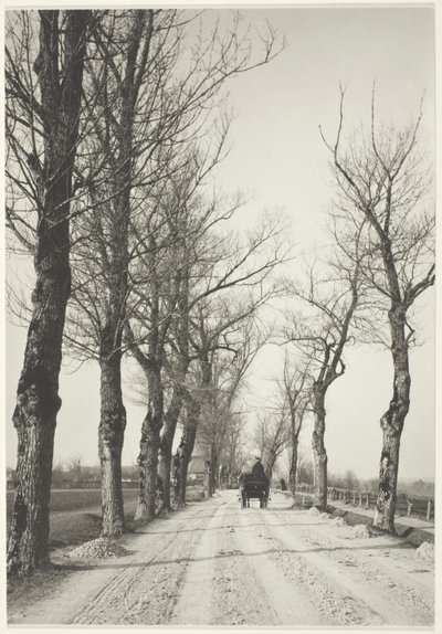 Jours de novembre - Alfred Stieglitz