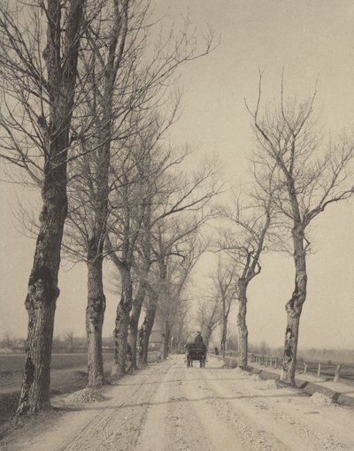  - Alfred Stieglitz