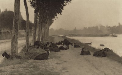  - Alfred Stieglitz