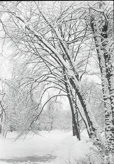 Paysage enneigé, Berlin - Alfred Stieglitz