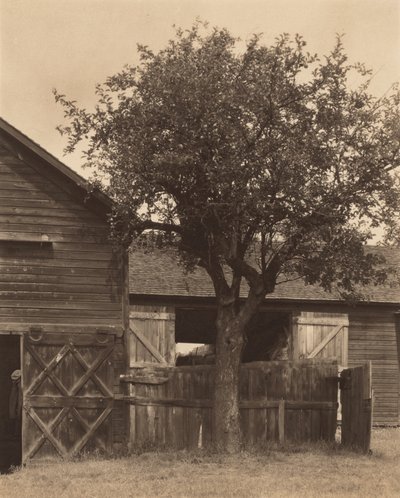  - Alfred Stieglitz