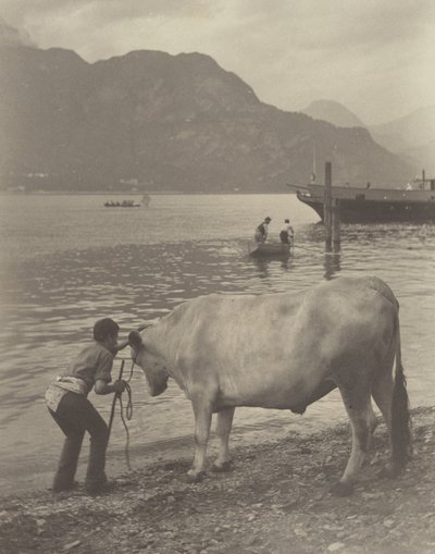 - Alfred Stieglitz