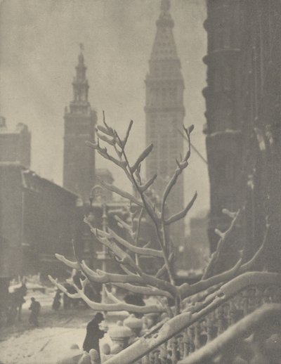  - Alfred Stieglitz