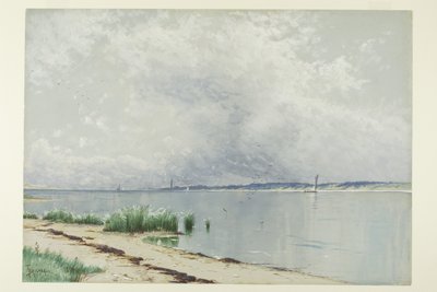 Roseaux Réfléchis - Alfred Thompson Bricher