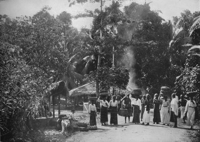 Un village de jungle, vers 1890 - Alfred William Amandus Plate