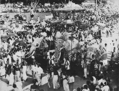 Éléphant sacré dans la procession Perahera, Kandy, Ceylan - Alfred William Amandus Plate