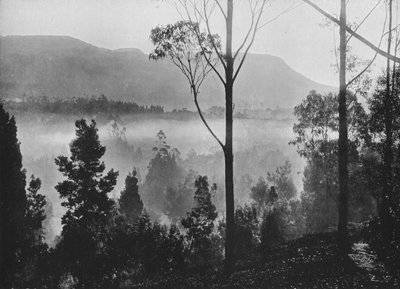 La brume du matin se levant à Nuwara Eliya - Alfred William Amandus Plate