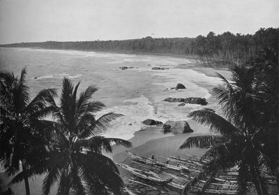 Vue depuis le mont Lavinia, montrant des palmiers le long du rivage, vers 1890, 1910 - Alfred William Amandus Plate